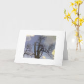 空の木シリーズ カード (黄色い花)