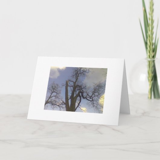 空の木シリーズ カード (正面)