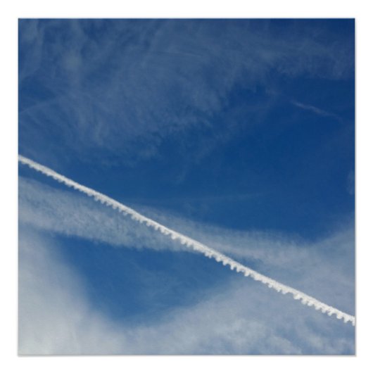 空の白いレース ポスター (正面)