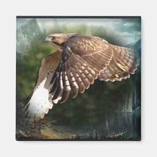 空の磁石の中 マグネット