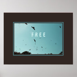 空の空の自由な鳥 ポスター