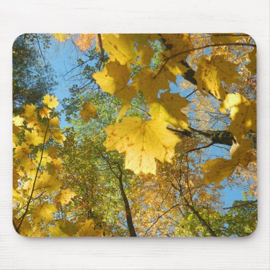 空の紅葉 マウスパッド (正面)
