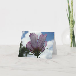 空の花柄Notecardに対して カード