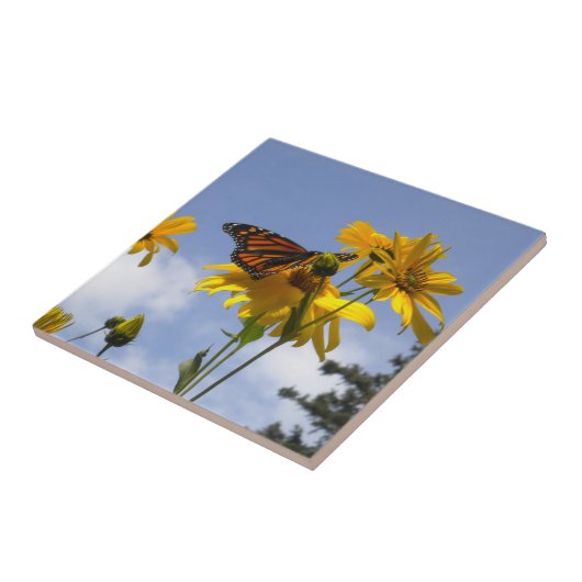 空の蝶3タイル三徳 タイル (側面)