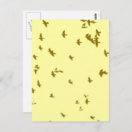 空の鳥 ポストカード (正面/裏面)