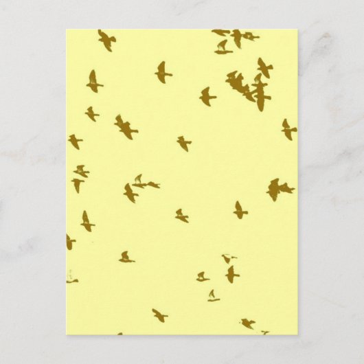 空の鳥 ポストカード (正面)