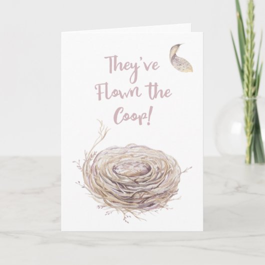 空のNESTアナウンス 案内状 (正面)