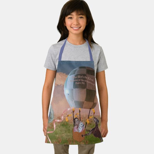 空は限界だ エプロン (インサイチュ)