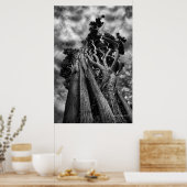 空をクラウィング – ファインアート写真 ポスター (キッチン)