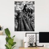 空をクラウィング – ファインアート写真 ポスター (ホームオフィス)