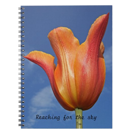 空を求めて広がる ノートブック (正面)