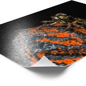 空を見上げるジャンプするクモ フォトプリント            (角)