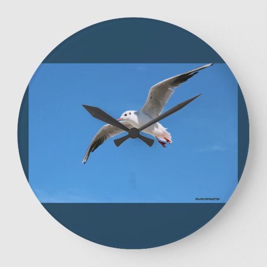 空を飛ぶカモメ - 青い写真時計 ラージ壁時計 (正面)