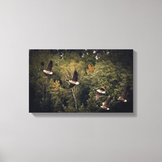 空を飛ぶガチョウ 14" x 11", 厚さ1.5", 単品 キャンバスプリント (正面)