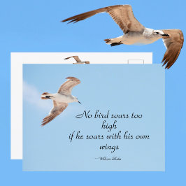 空を飛ぶ青いカモメは鳥が舞い上がらない ポストカード