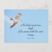 空を飛ぶ青いカモメは鳥が舞い上がらない ポストカード (正面)