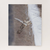 空を飛んでいるアカオタカ ジグソーパズル (縦)