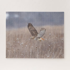 空を飛んでいるアカオタカ ジグソーパズル