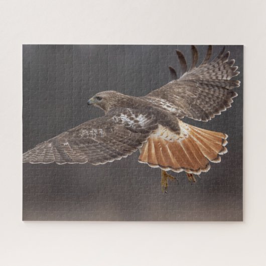 空を飛んでいるアカオタカ ジグソーパズル (横)