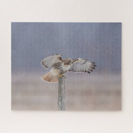 空を飛んでいるアカオタカ ジグソーパズル