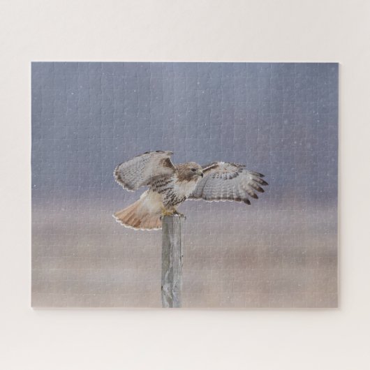 空を飛んでいるアカオタカ ジグソーパズル (横)