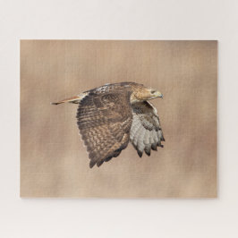 空を飛んでいるアカオタカ ジグソーパズル