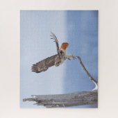 空を飛んでいるアカオタカ ジグソーパズル (縦)