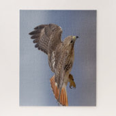 空を飛んでいるアカオタカ ジグソーパズル (縦)