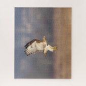 空を飛んでいるアカオタカ ジグソーパズル (縦)