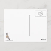 空を飛んでいる赤尾のタカ ポストカード (裏面)