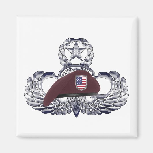 空中の翼の上に特別に設計されたベレー マグネット (正面)