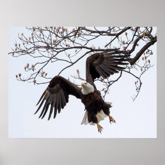 空中ぶら下がったに ポスター (正面)