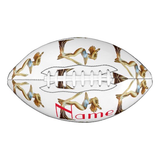 空中ヨガフィットネスサンダー_コーブ アメリカンフットボール (正面)