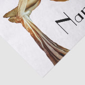 空中ヨガフィットネスサンダー_コーブ 薄葉紙 (詳細)