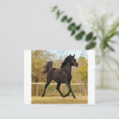 空中浮遊 ポストカード (スタンド正面)