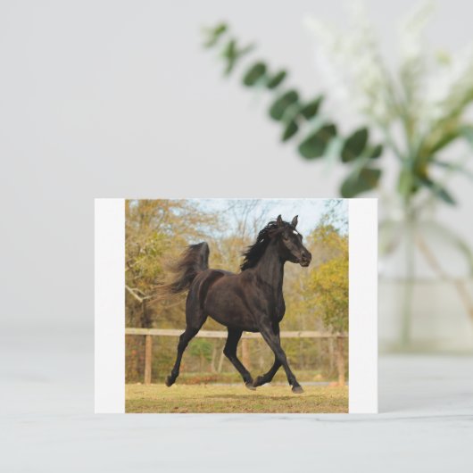 空中浮遊 ポストカード (スタンド正面)