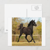 空中浮遊 ポストカード (正面/裏面)