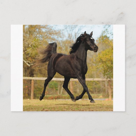 空中浮遊 ポストカード (正面)