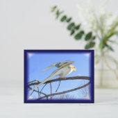 空力はがき ポストカード (スタンド正面)