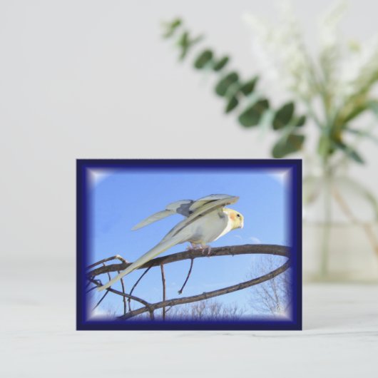 空力はがき ポストカード (スタンド正面)