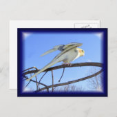 空力はがき ポストカード (正面/裏面)