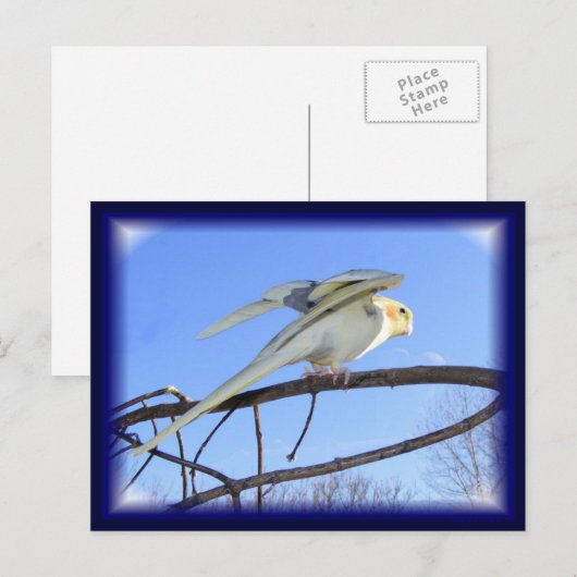 空力はがき ポストカード (正面/裏面)