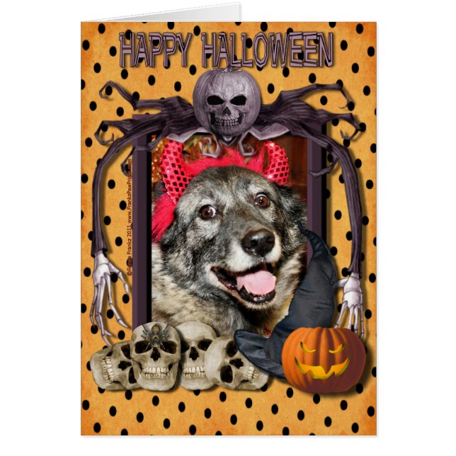 空想-ノルウェーのエルクハウンド- Salsman (正面)