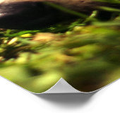 空想 ポスター (角)