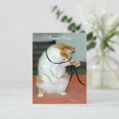 空手キティ遊ネコのはがき ポストカード (スタンド正面)