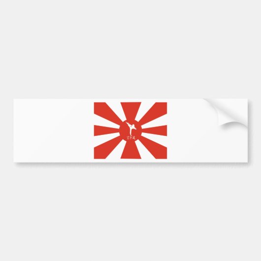 空手光線 バンパーステッカー (正面)