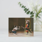 空手猫 ポストカード (スタンド正面)