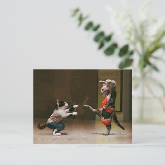 空手猫 ポストカード (スタンド正面)