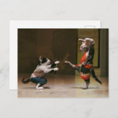 空手猫 ポストカード (正面/裏面)