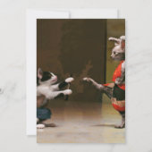 空手猫 招待状 (裏面)